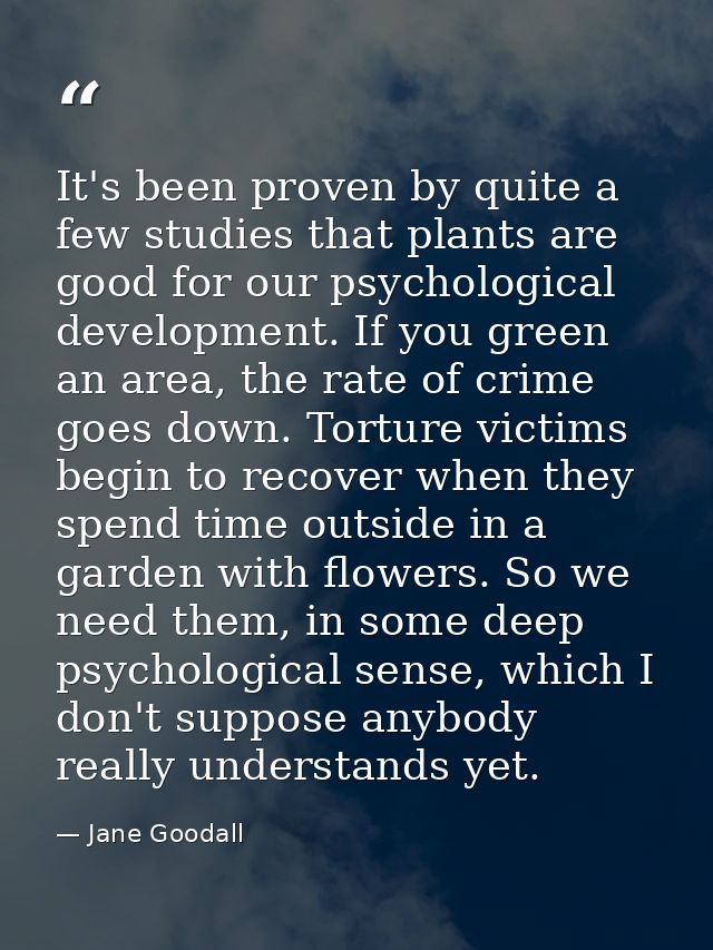 It's been proven by quite a few studies that plants are good for our psychological development. If you green an area, th — Jane Goodall