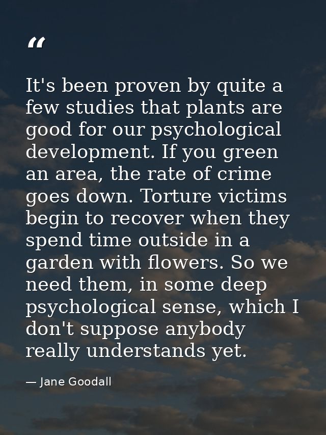 It's been proven by quite a few studies that plants are good for our psychological development. If you green an area, th — Jane Goodall