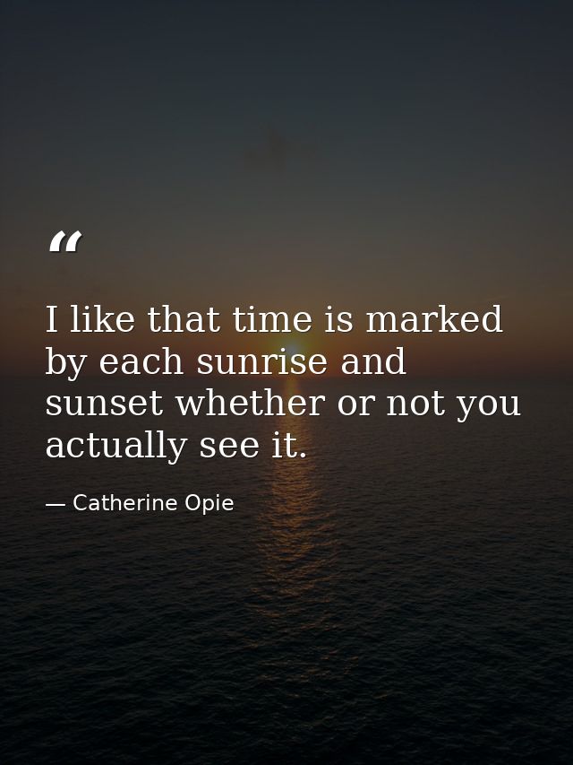 I like that time is marked by each sunrise and sunset whether or not you actually see it. — Catherine Opie