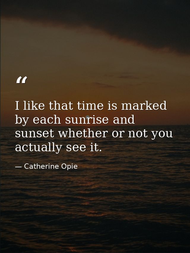 I like that time is marked by each sunrise and sunset whether or not you actually see it. — Catherine Opie