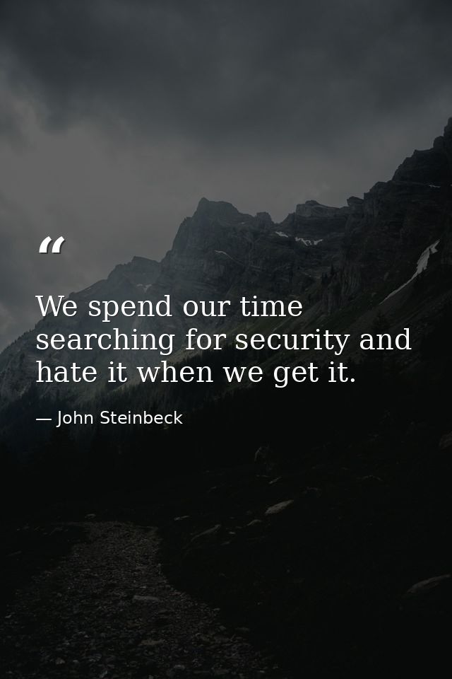 We spend our time searching for security and hate it when we get it. — John Steinbeck