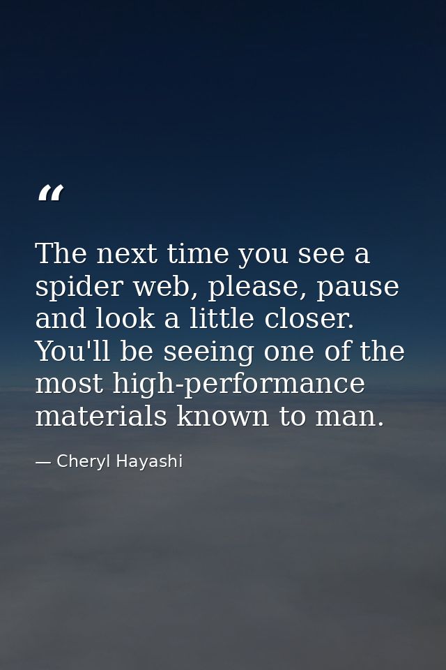 The next time you see a spider web, please, pause and look a little closer. You'll be seeing one of the most high-perfor — Cheryl Hayashi