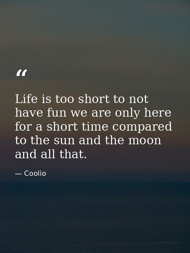 Life is too short to not have fun we are only here for a short time compared to the sun and the moon and all that. — Coolio