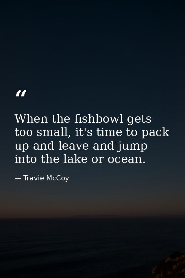 When the fishbowl gets too small, it's time to pack up and leave and jump into the lake or ocean. — Travie McCoy