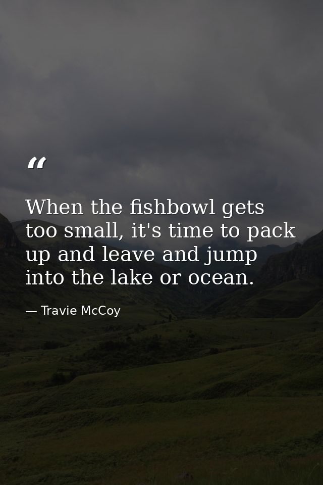 When the fishbowl gets too small, it's time to pack up and leave and jump into the lake or ocean. — Travie McCoy