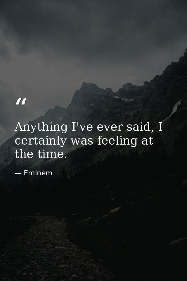 Anything I've ever said, I certainly was feeling at the time. — Eminem