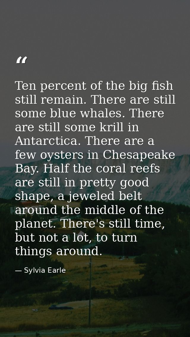 Ten percent of the big fish still remain. There are still some blue whales. There are still some krill in Antarctica. Th — Sylvia Earle