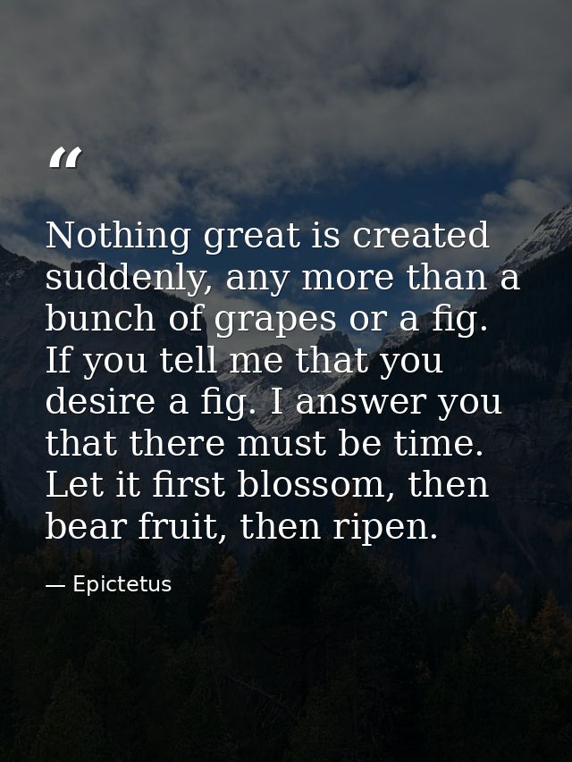 Nothing great is created suddenly, any more than a bunch of grapes or a fig. If you tell me that you desire a fig. I ans — Epictetus