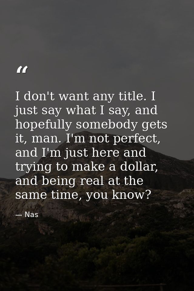 I don't want any title. I just say what I say, and hopefully somebody gets it, man. I'm not perfect, and I'm just here a — Nas