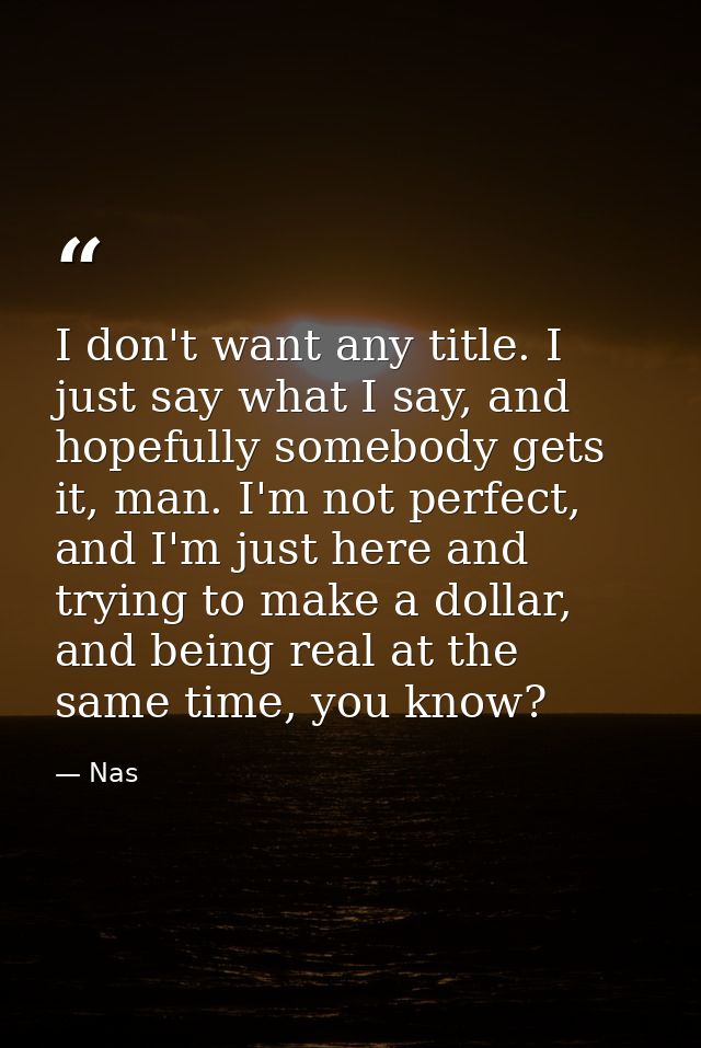 I don't want any title. I just say what I say, and hopefully somebody gets it, man. I'm not perfect, and I'm just here a — Nas