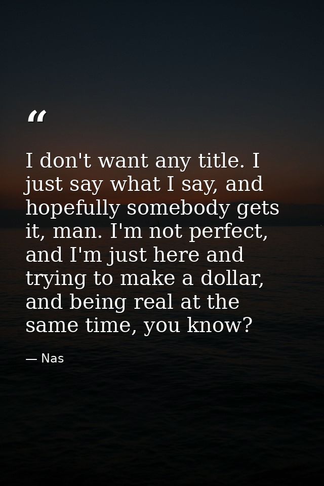 I don't want any title. I just say what I say, and hopefully somebody gets it, man. I'm not perfect, and I'm just here a — Nas