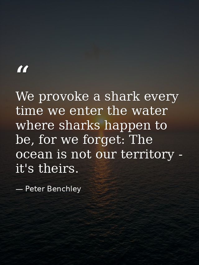 We provoke a shark every time we enter the water where sharks happen to be, for we forget: The ocean is not our territor — Peter Benchley