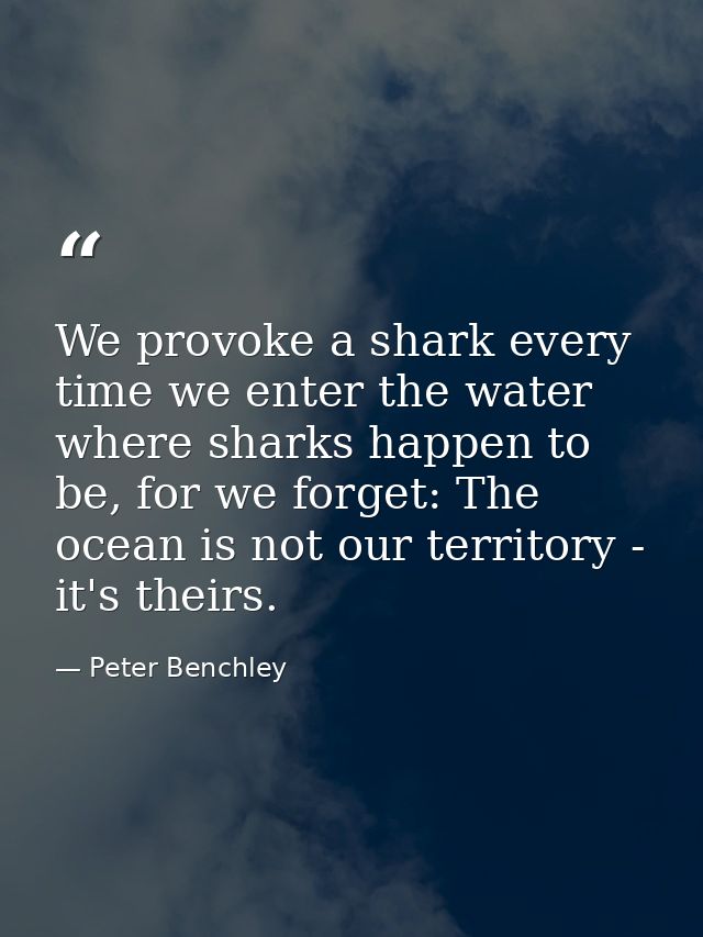 We provoke a shark every time we enter the water where sharks happen to be, for we forget: The ocean is not our territor — Peter Benchley