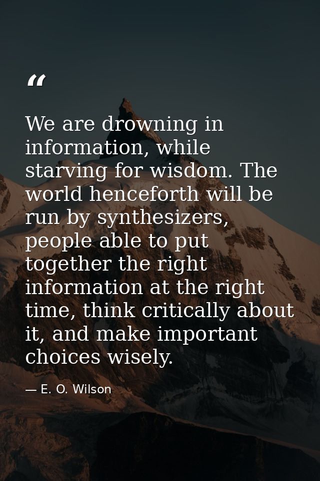 We are drowning in information, while starving for wisdom. The world henceforth will be run by synthesizers, people able — E. O. Wilson