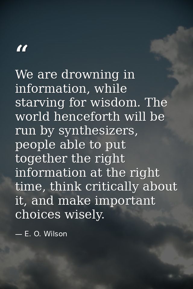 We are drowning in information, while starving for wisdom. The world henceforth will be run by synthesizers, people able — E. O. Wilson