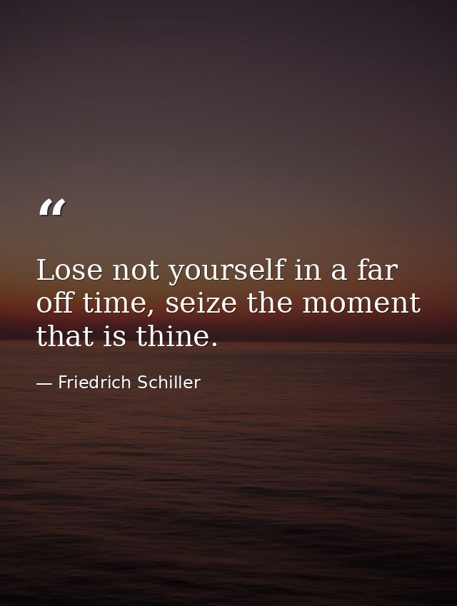 Lose not yourself in a far off time, seize the moment that is thine. — Friedrich Schiller