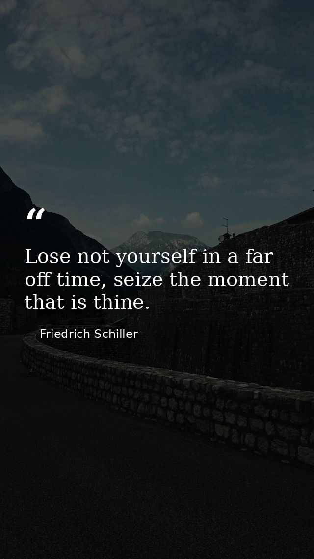 Lose not yourself in a far off time, seize the moment that is thine. — Friedrich Schiller