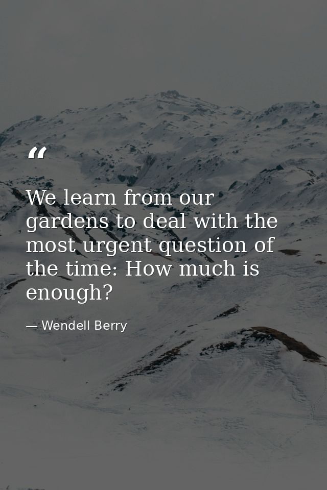 We learn from our gardens to deal with the most urgent question of the time: How much is enough? — Wendell Berry
