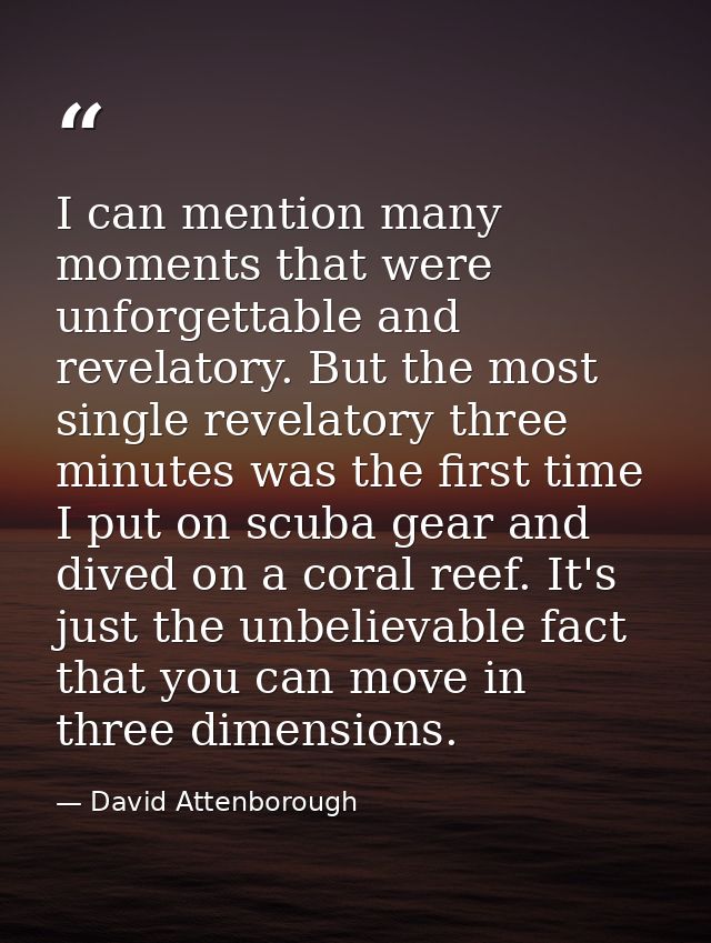 I can mention many moments that were unforgettable and revelatory. But the most single revelatory three minutes was the  — David Attenborough