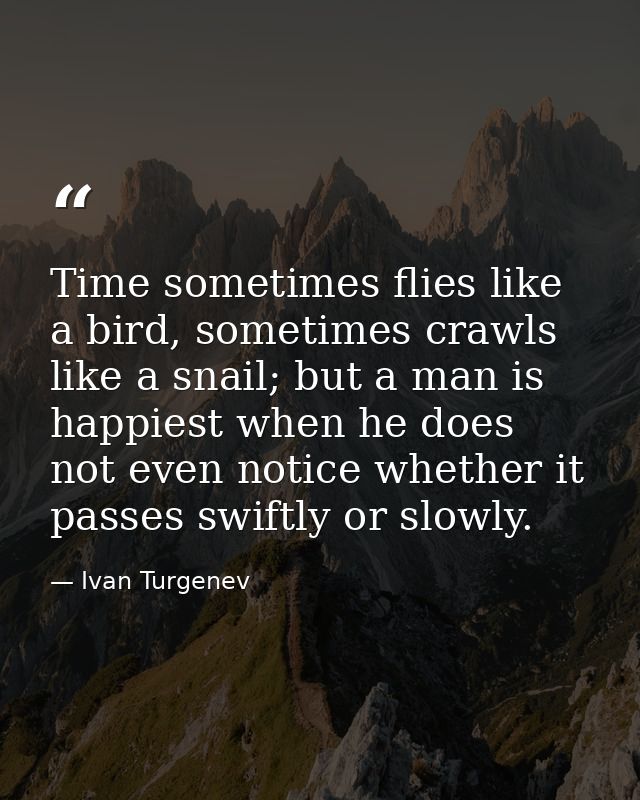 Time sometimes flies like a bird, sometimes crawls like a snail; but a man is happiest when he does not even notice whet — Ivan Turgenev