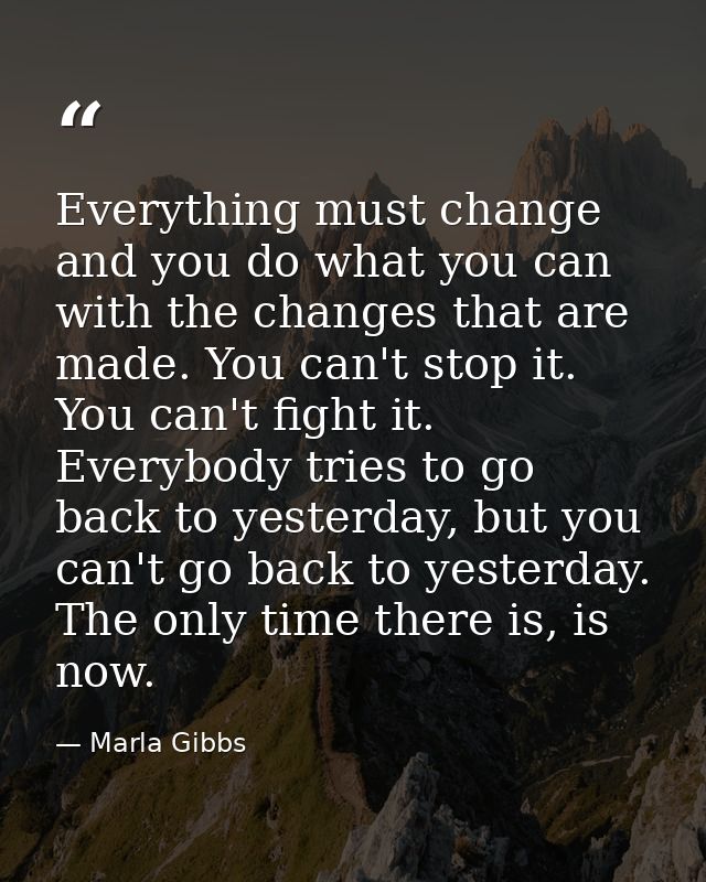 Everything must change and you do what you can with the changes that are made. You can't stop it. You can't fight it. Ev — Marla Gibbs