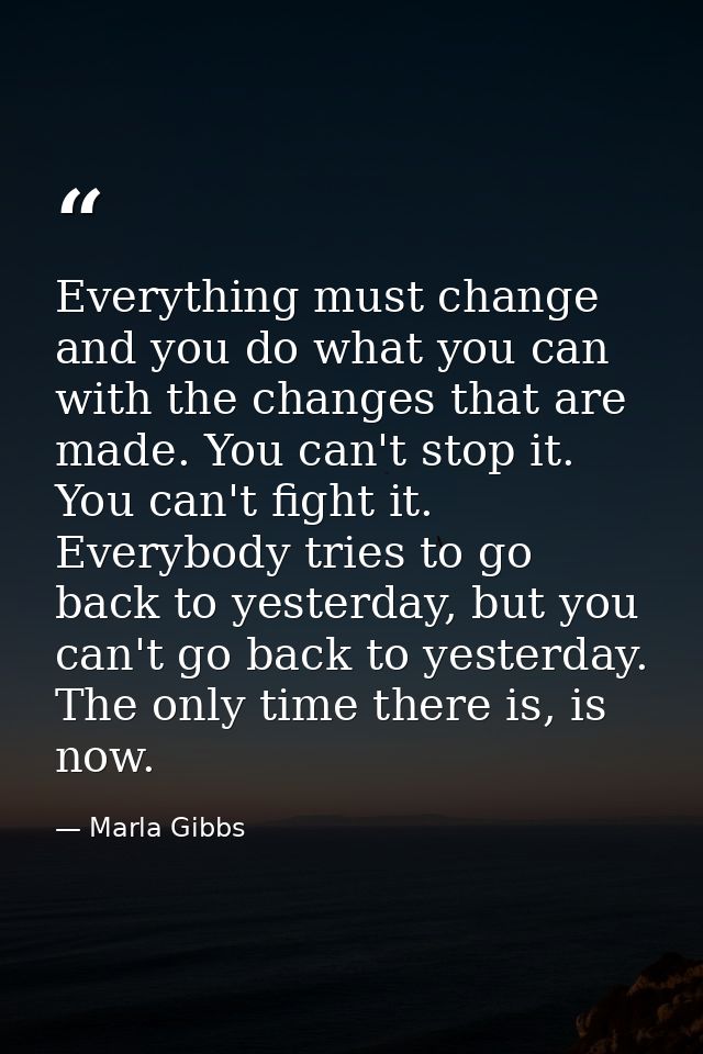 Everything must change and you do what you can with the changes that are made. You can't stop it. You can't fight it. Ev — Marla Gibbs