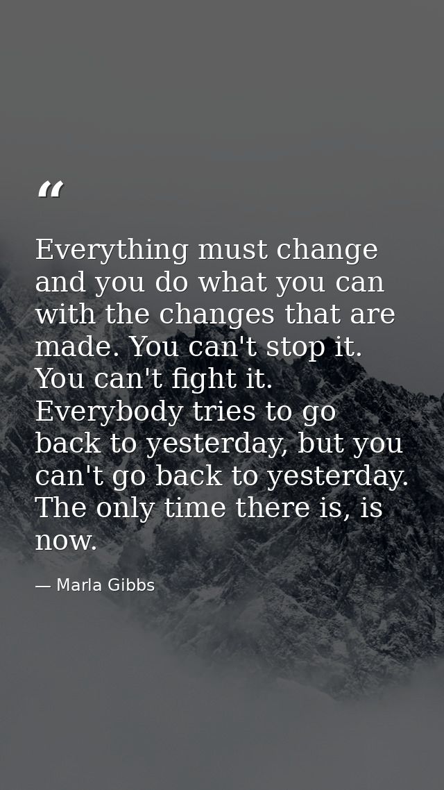Everything must change and you do what you can with the changes that are made. You can't stop it. You can't fight it. Ev — Marla Gibbs