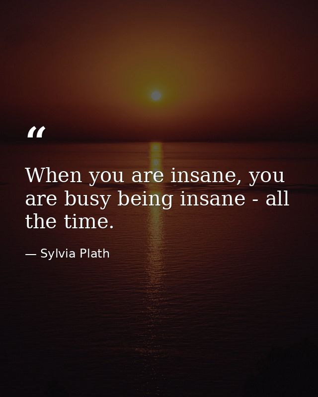 When you are insane, you are busy being insane - all the time. — Sylvia Plath