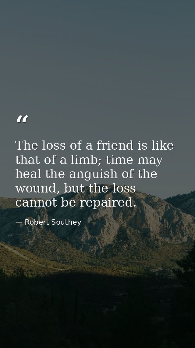 The loss of a friend is like that of a limb; time may heal the anguish of the wound, but the loss cannot be repaired. — Robert Southey