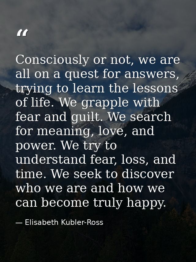 Consciously or not, we are all on a quest for answers, trying to learn the lessons of life. We grapple with fear and gui — Elisabeth Kubler-Ross
