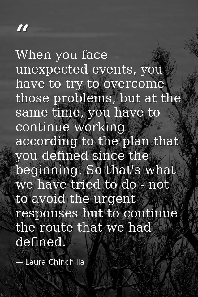 When you face unexpected events, you have to try to overcome those problems, but at the same time, you have to continue  — Laura Chinchilla