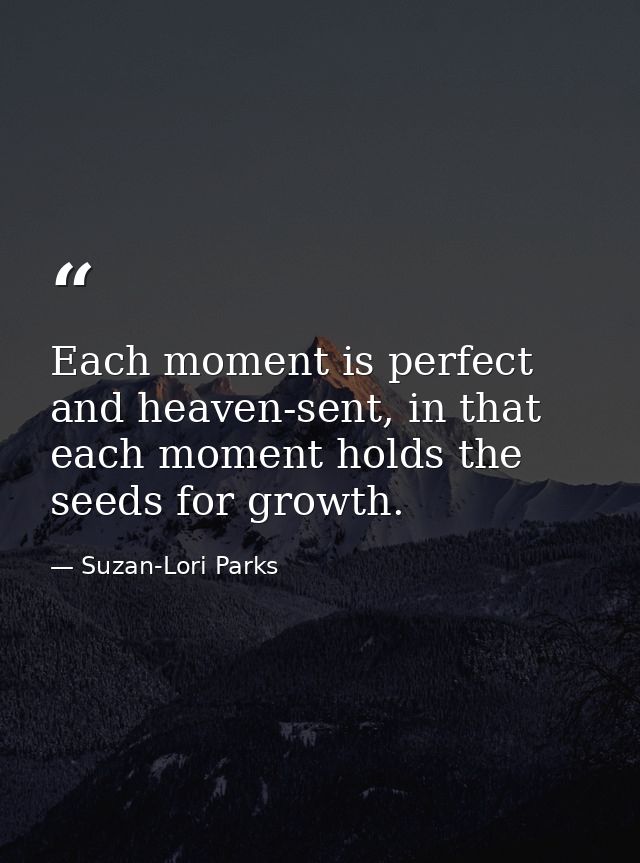 Each moment is perfect and heaven-sent, in that each moment holds the seeds for growth. — Suzan-Lori Parks