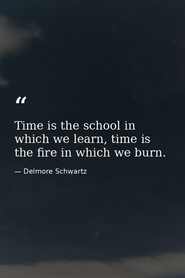 Time is the school in which we learn, time is the fire in which we burn. — Delmore Schwartz