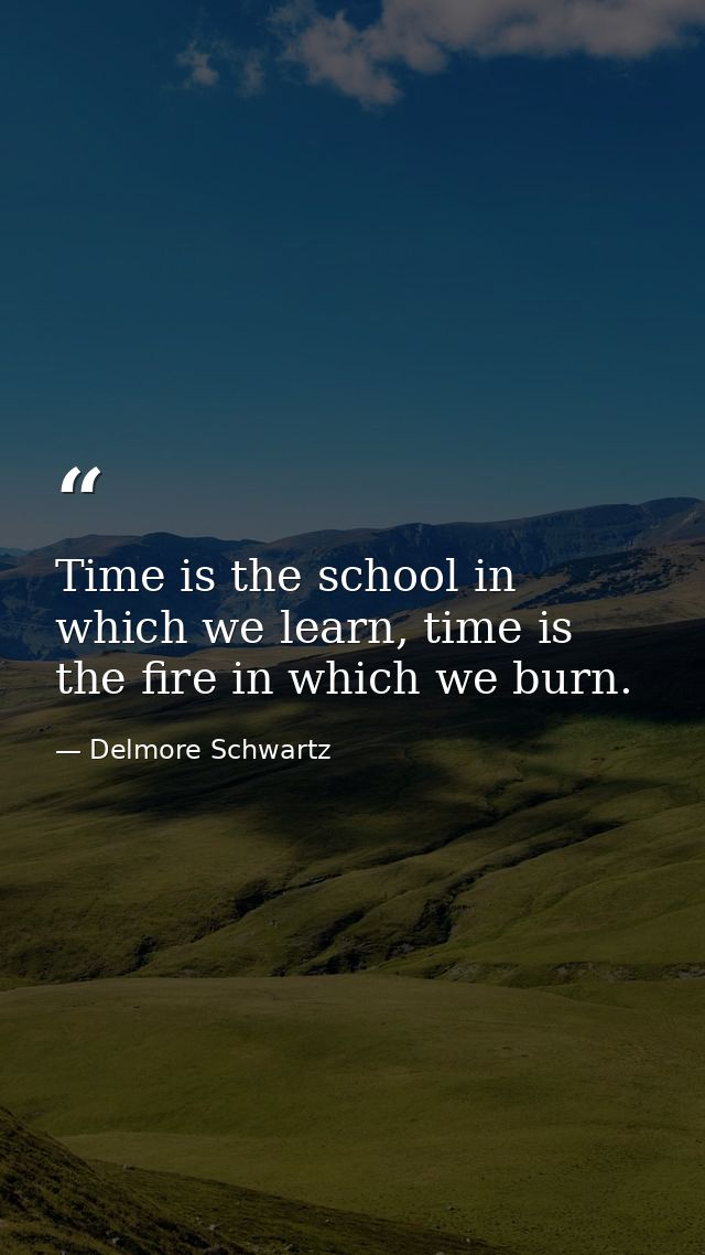 Time is the school in which we learn, time is the fire in which we burn. — Delmore Schwartz