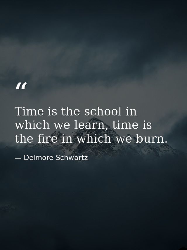 Time is the school in which we learn, time is the fire in which we burn. — Delmore Schwartz