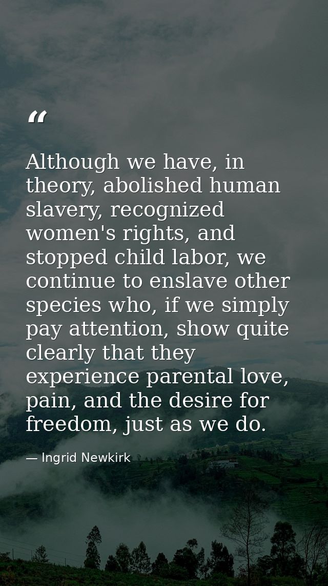 Although we have, in theory, abolished human slavery, recognized women's rights, and stopped child labor, we continue to — Ingrid Newkirk