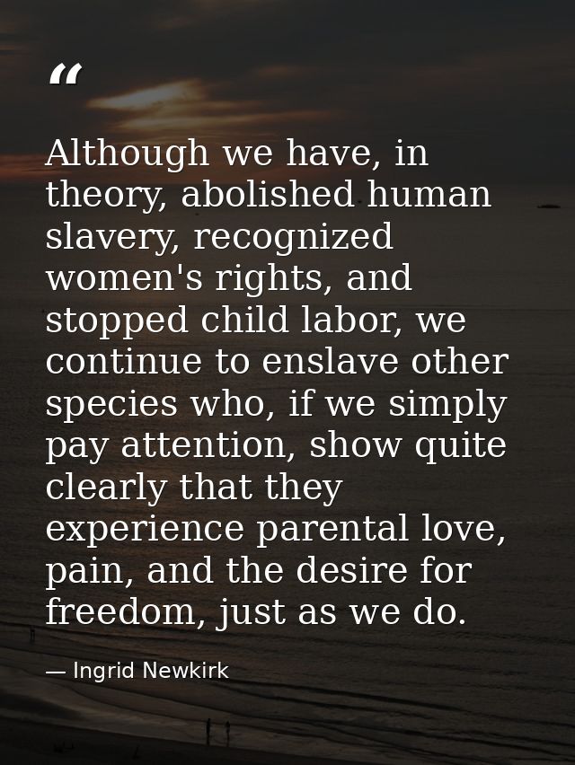 Although we have, in theory, abolished human slavery, recognized women's rights, and stopped child labor, we continue to — Ingrid Newkirk