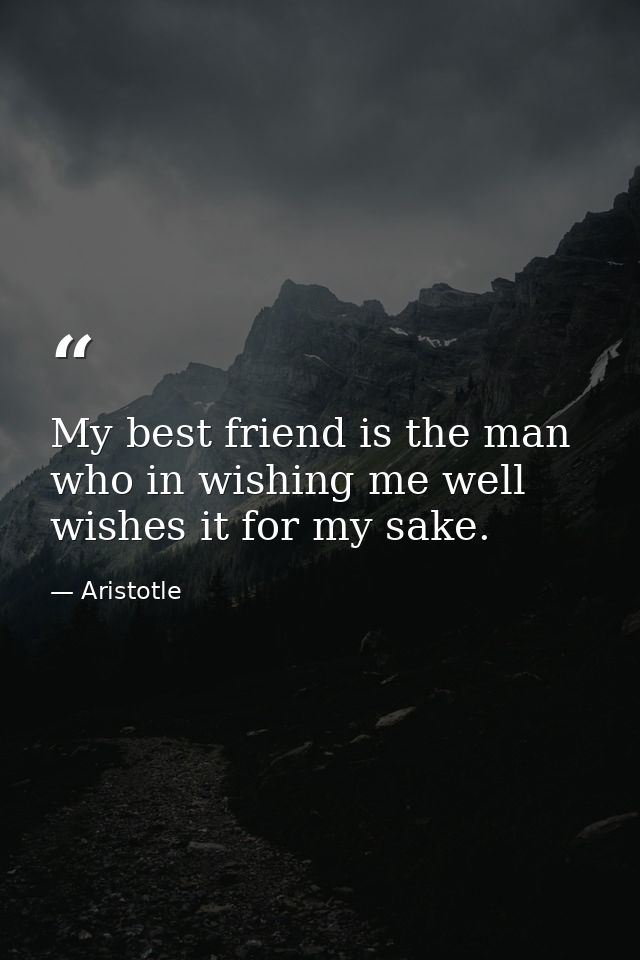 My best friend is the man who in wishing me well wishes it for my sake. — Aristotle