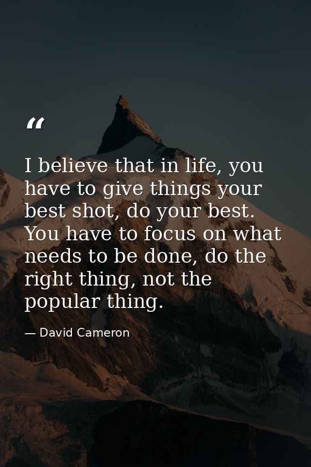 I believe that in life, you have to give things your best shot, do your best. You have to focus on what needs to be done — David Cameron