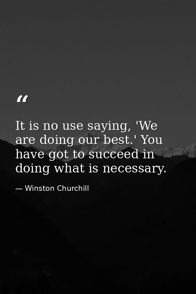 It is no use saying, 'We are doing our best.' You have got to succeed in doing what is necessary. — Winston Churchill