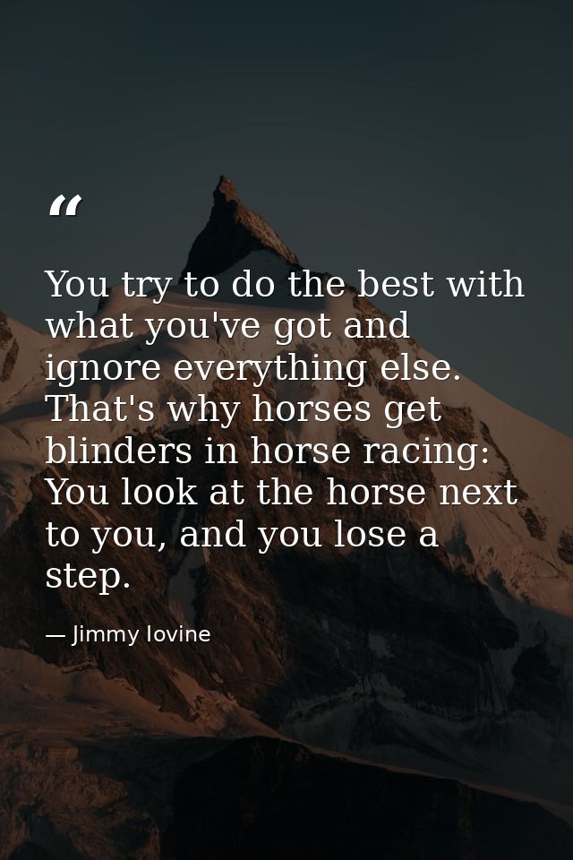 You try to do the best with what you've got and ignore everything else. That's why horses get blinders in horse racing:  — Jimmy Iovine