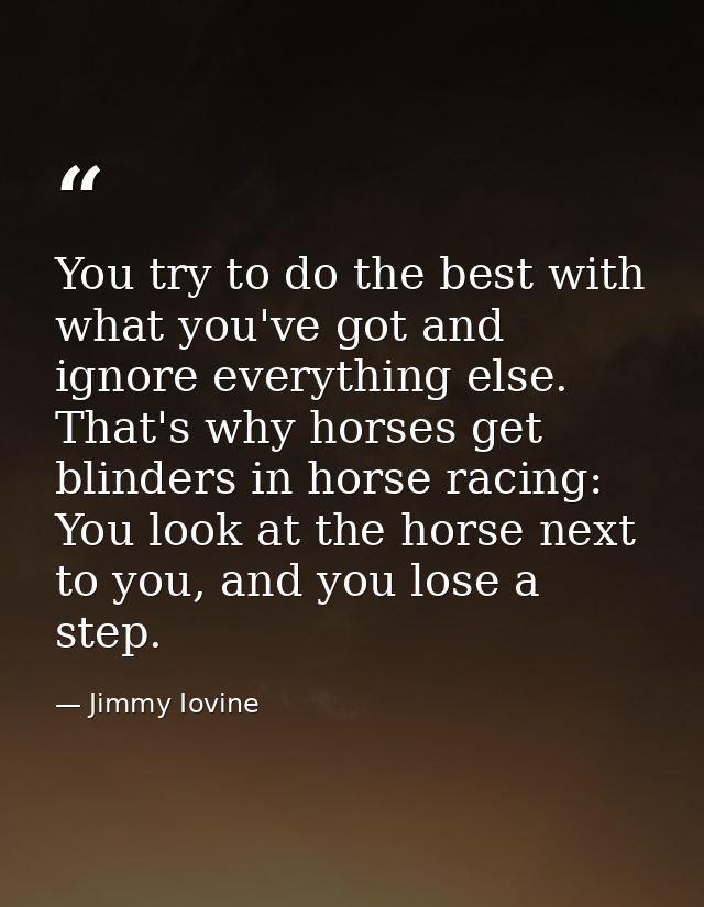 You try to do the best with what you've got and ignore everything else. That's why horses get blinders in horse racing:  — Jimmy Iovine