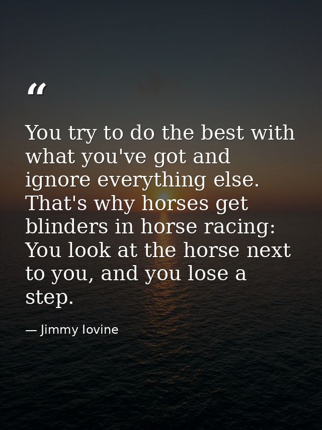 You try to do the best with what you've got and ignore everything else. That's why horses get blinders in horse racing:  — Jimmy Iovine
