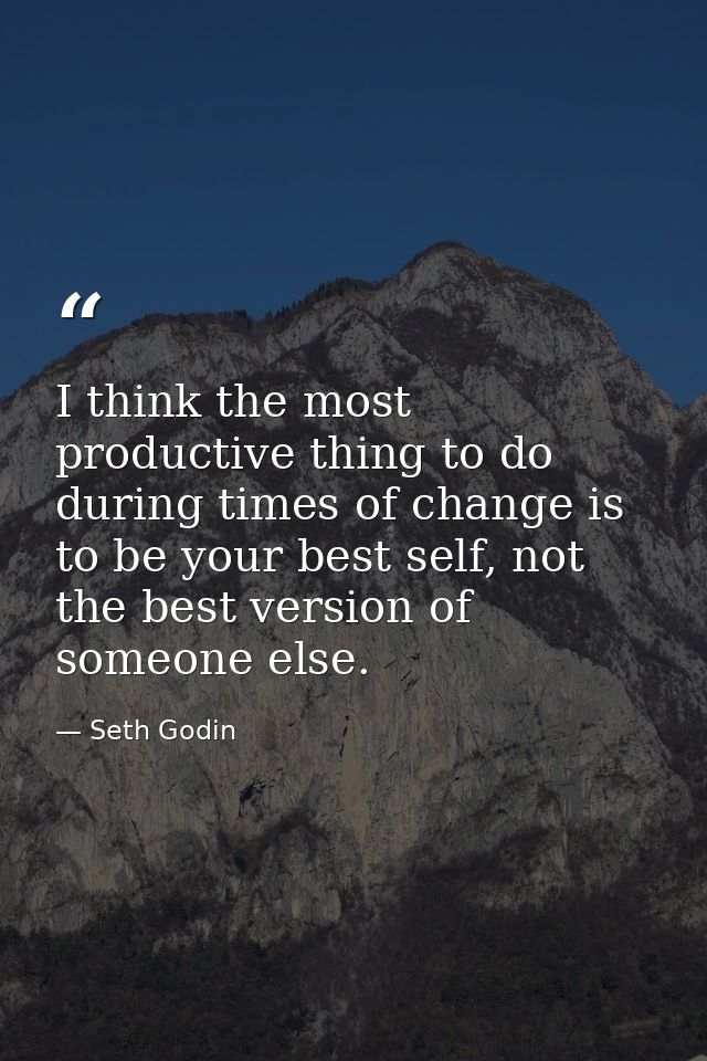 I think the most productive thing to do during times of change is to be your best self, not the best version of someone  — Seth Godin
