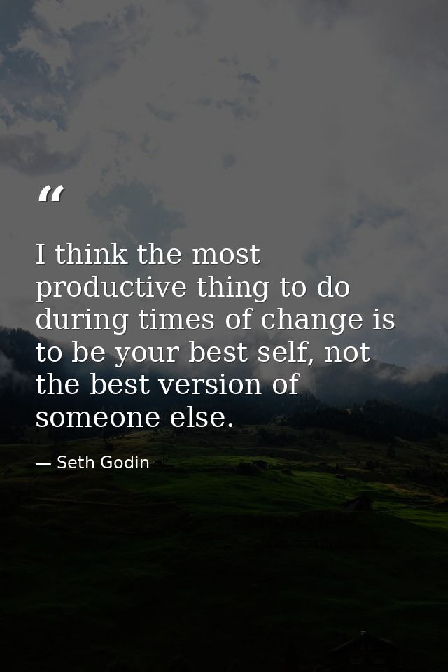 I think the most productive thing to do during times of change is to be your best self, not the best version of someone  — Seth Godin