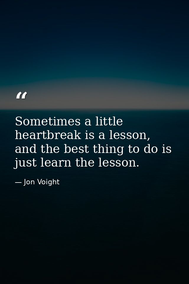 Sometimes a little heartbreak is a lesson, and the best thing to do is just learn the lesson. — Jon Voight