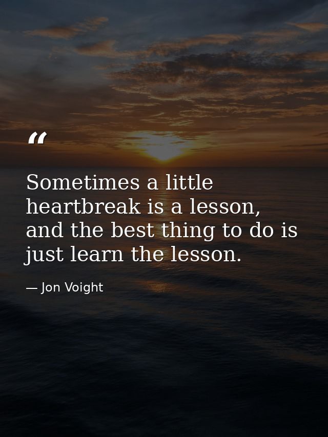 Sometimes a little heartbreak is a lesson, and the best thing to do is just learn the lesson. — Jon Voight