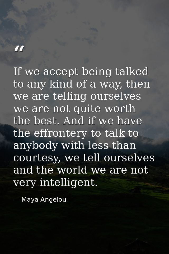 If we accept being talked to any kind of a way, then we are telling ourselves we are not quite worth the best. And if we — Maya Angelou