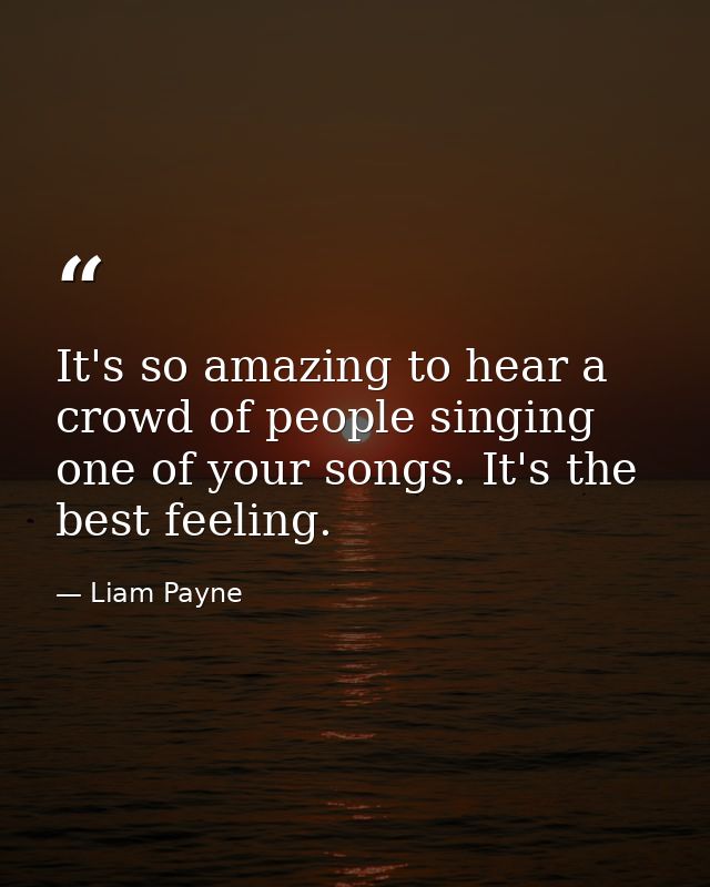 It's so amazing to hear a crowd of people singing one of your songs. It's the best feeling. — Liam Payne