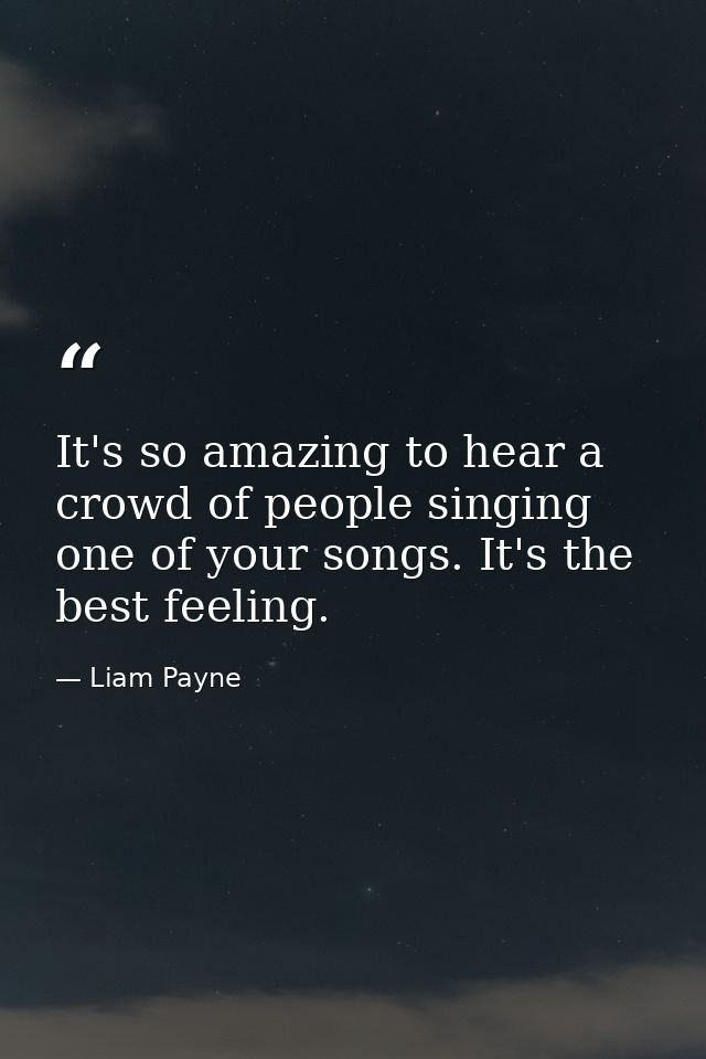 It's so amazing to hear a crowd of people singing one of your songs. It's the best feeling. — Liam Payne